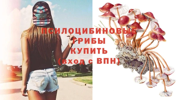 а пвп мука Куйбышев