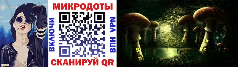 Псилоцибиновые грибы Psilocybine cubensis  Тверь 