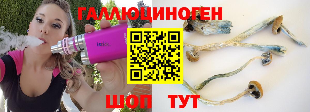 Тверь  дарнет шоп  Вход с VPN  Псилоцибиновые грибы ЛСД 